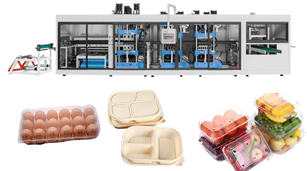 Pasokan mesin thermoforming kotak plastik takeaway Pasokan mesin thermoforming kotak plastik takeaway